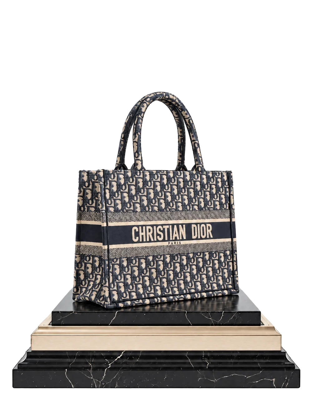 Dior Book Tote